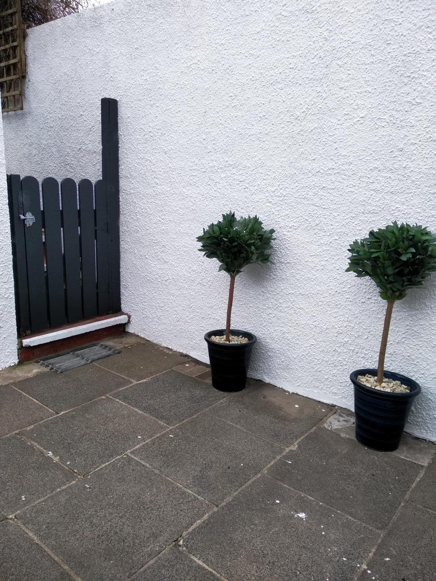Fishermans Cottage Killough Exterior foto